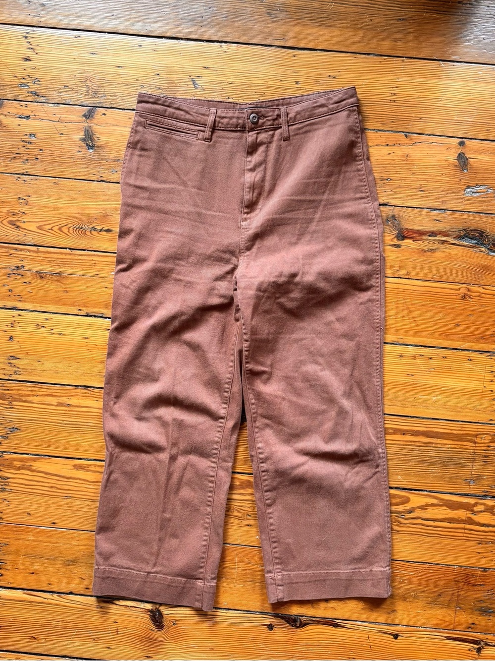 Quince Rust Brown Chino Pants